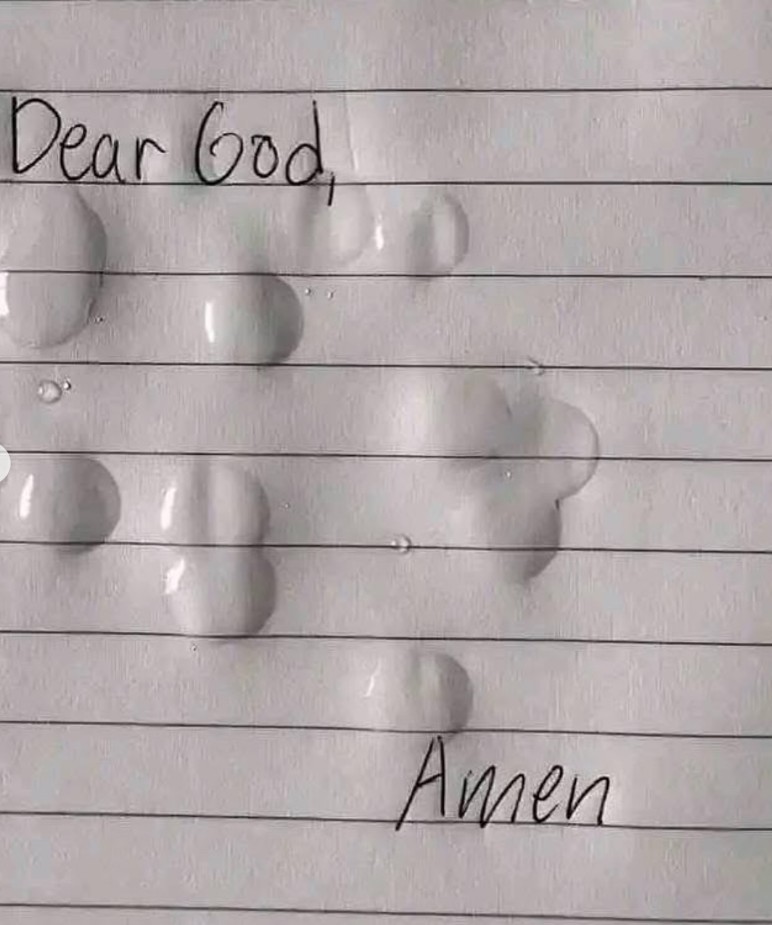 alt, msn, img alt, msn, img