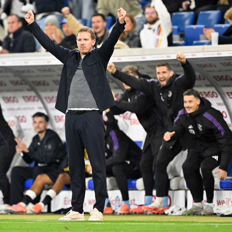 阿德耶米, 德国队球员 阿德耶米, 德国队球员