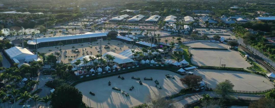 这些政策都 这些政策都